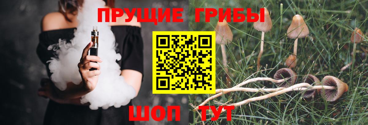 Галлюциногенные грибы Cubensis  Псилоцибиновые грибы мицелий  Вязники  Вход с VPN 